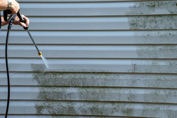 Best Property Management Cleanouts  in West Bay Shore, NY