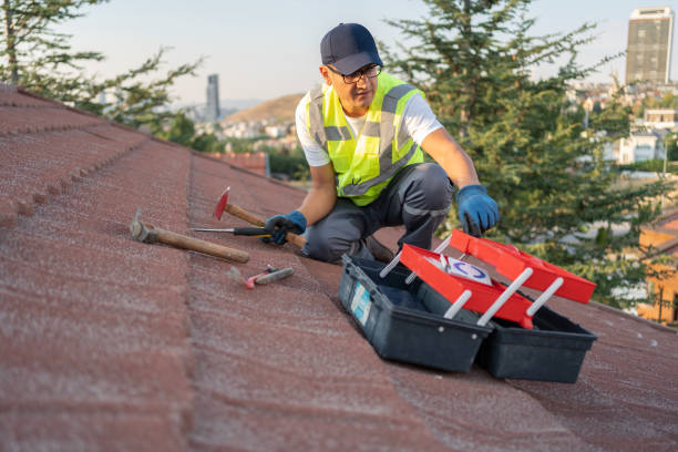 Best Shed Removal  in West Bay Shore, NY